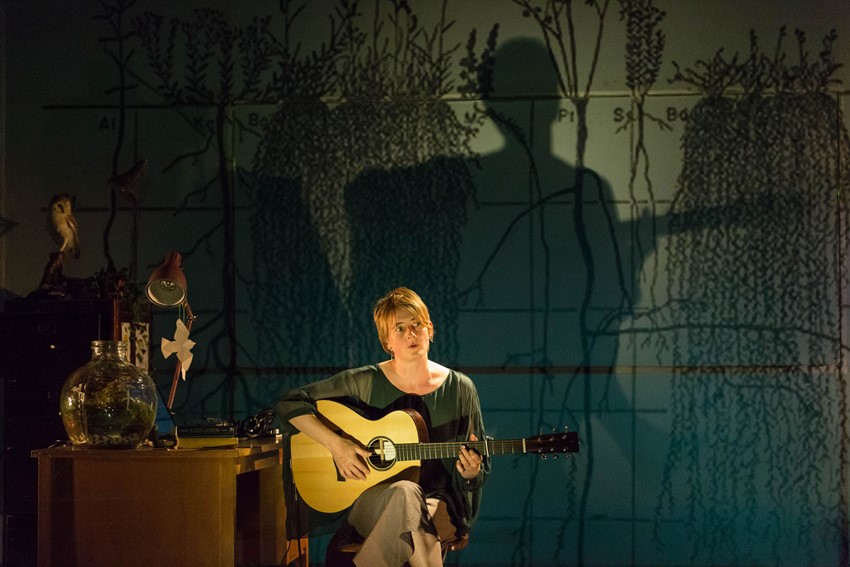 Karine Polwart in A Pocket of Wind Resistance (photo: Aly Wight)